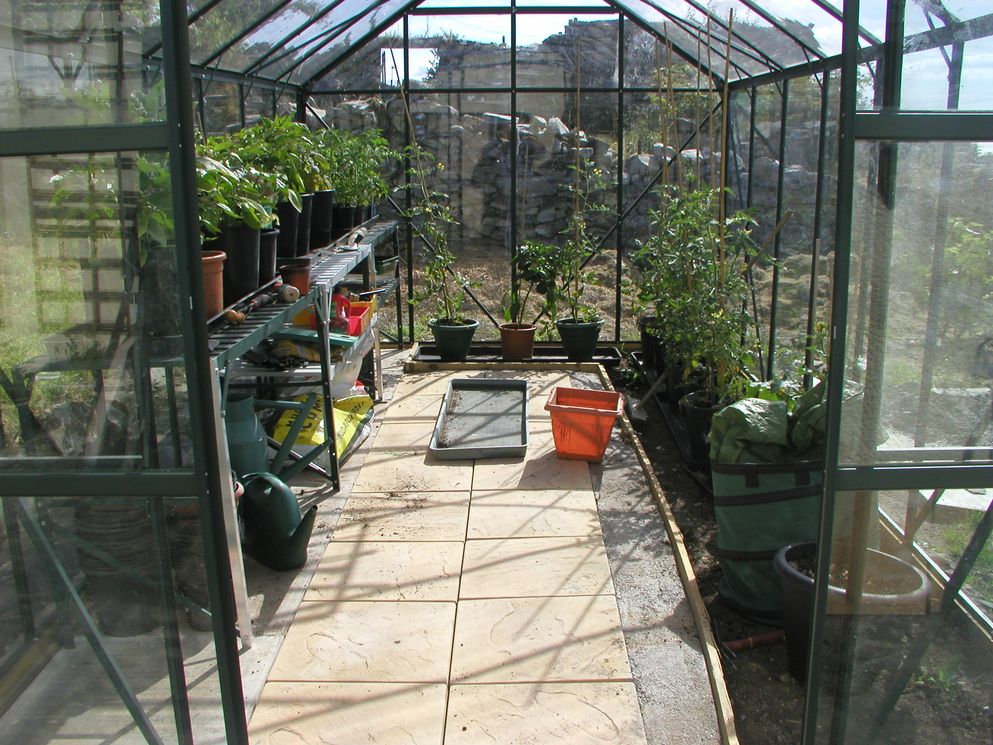 Greenhouse Floor, Potting on & Sideshooting Tomatoes - Allotment Garden