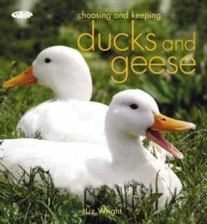 Keeping ducks geese book