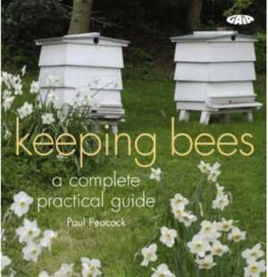 keeping bees book