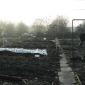 Another shot from the top of the allotment