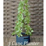3 and 6 Cane Patio Planters