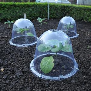  Bell, Solar, Blanching and Pop Up Cloches