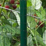 Deluxe 4 ft High Vegetable Cage