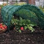 Giant Crop Tunnel - Pack of 2
