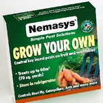 Grow Your Own Pest Control