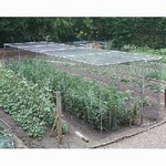 Heavy Duty Fruit and Vegetable Cage