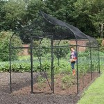 Ogee Arch Fruit and Vegetable Cage