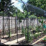 Roman Arch Fruit and Vegetable Cage