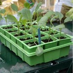  Seed Tray Growing and Propagation Lids