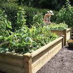 Superior Wooden Raised Bed Kits