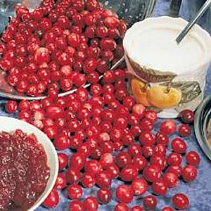 Cranberry Bushes
