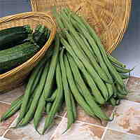 French Climbing Beans Seeds