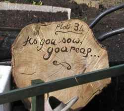 sow reap sign