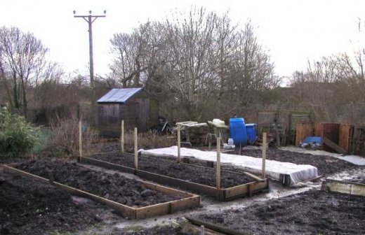 raised beds allotment