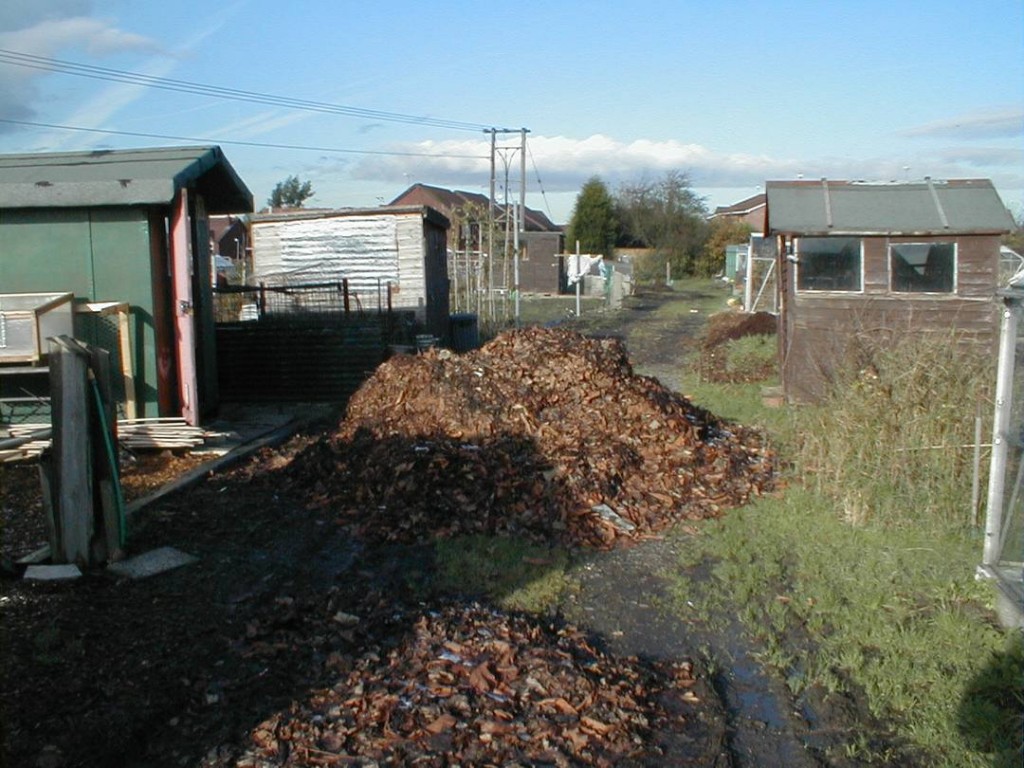 Piles Leaves for Leafmould
