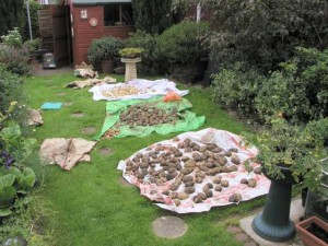 Sorting Potatoes on the Lawn