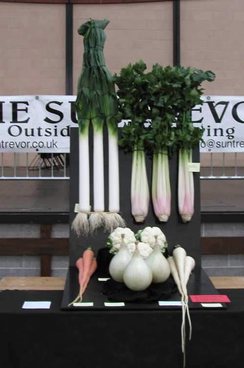 Vegetable Collection First Prize