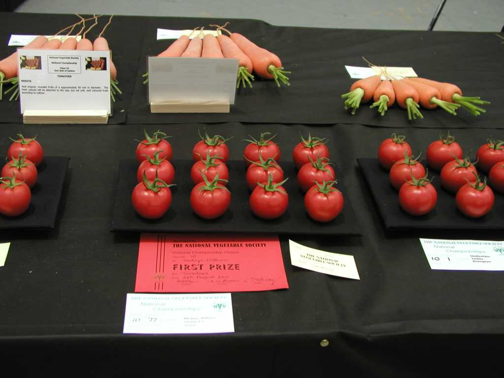 Tomatoes First Prize