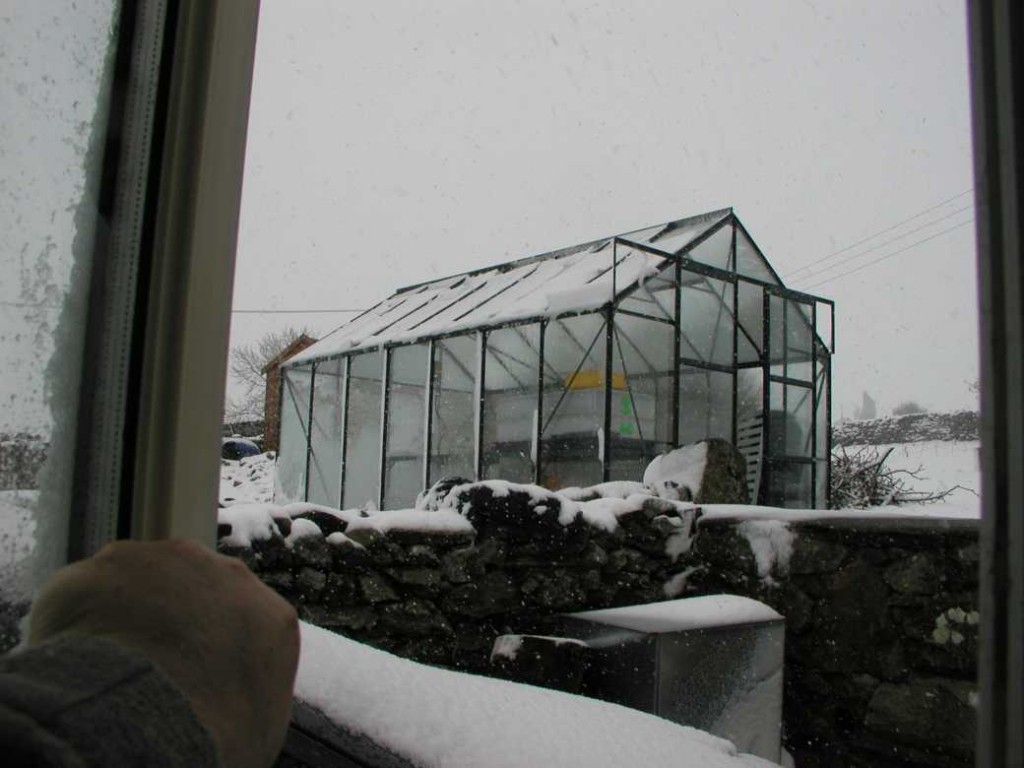 Greenhouse in the Snow
