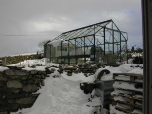Greenhouse in the Snow