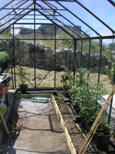 greenhouse