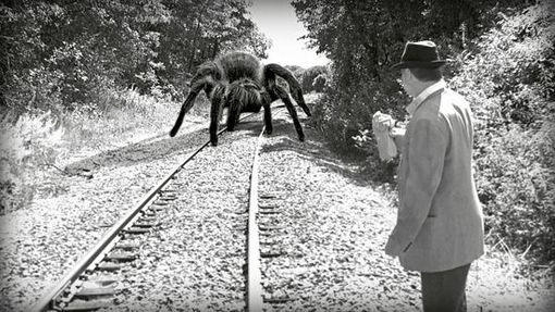 Giant Spider 