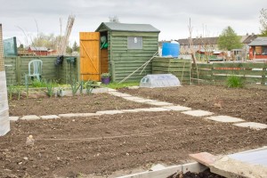 Allotment garden ready for planting new crops