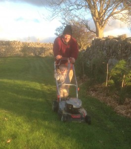 Lawn Mowing