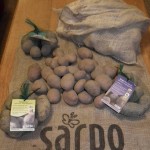 Best Place to Buy Seed Potatoes