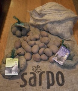 Sarpo Seed Potatoes