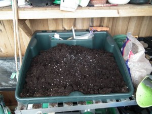 Mixing Potato Growing Compost