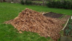 Woodchip Pile