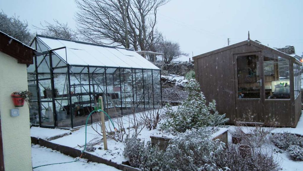 Snow Greenhouse