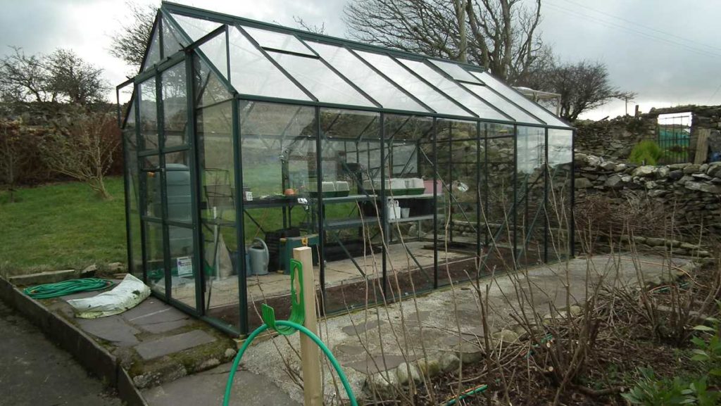 Clean Tidy Greenhouse