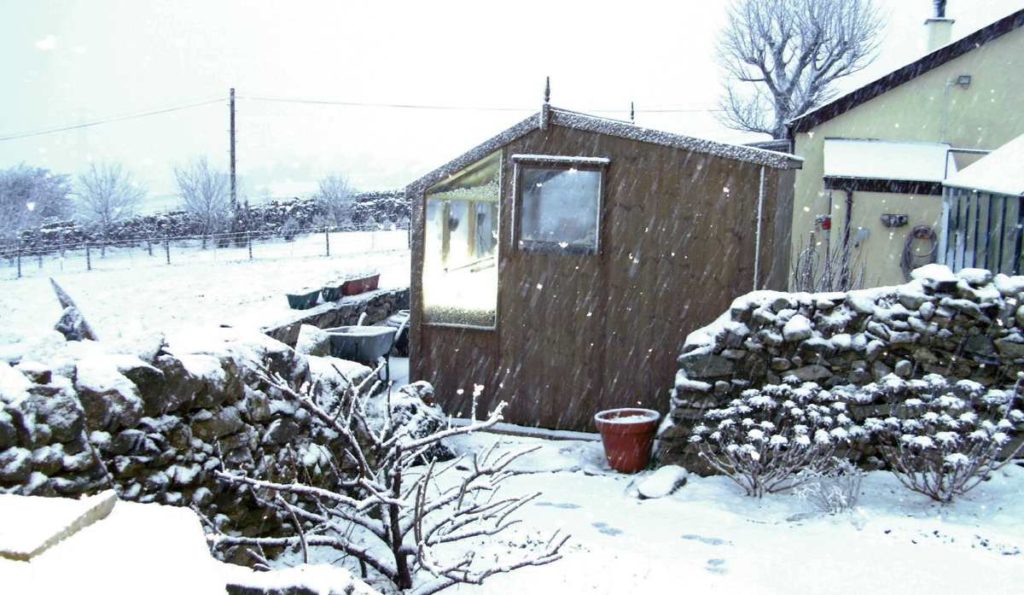 Potting Shed in Snow