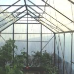 Inside Shaded Greenhouse