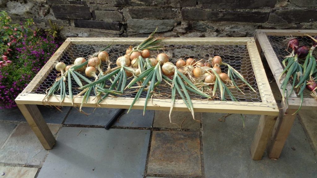 Onion Drying Rack