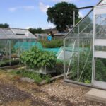 Greenhouses on Allotments