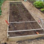 Polytunnel Centre Bed