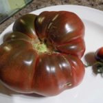 Black Russian & Indigo Rose Tomatoes
