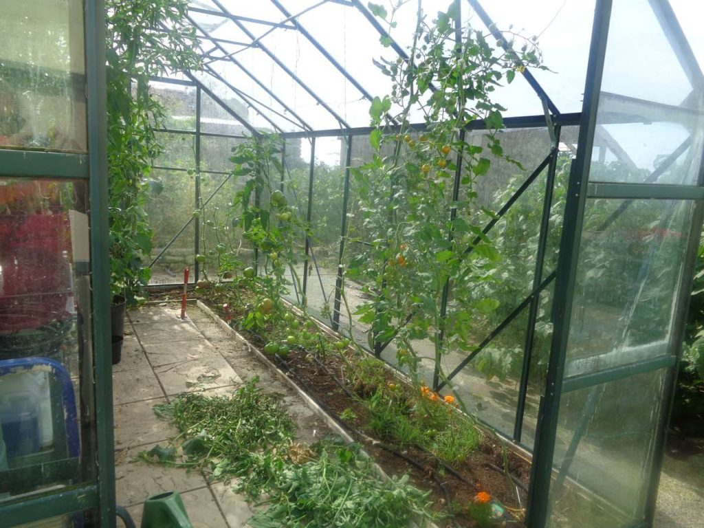 Sorting out Greenhouse