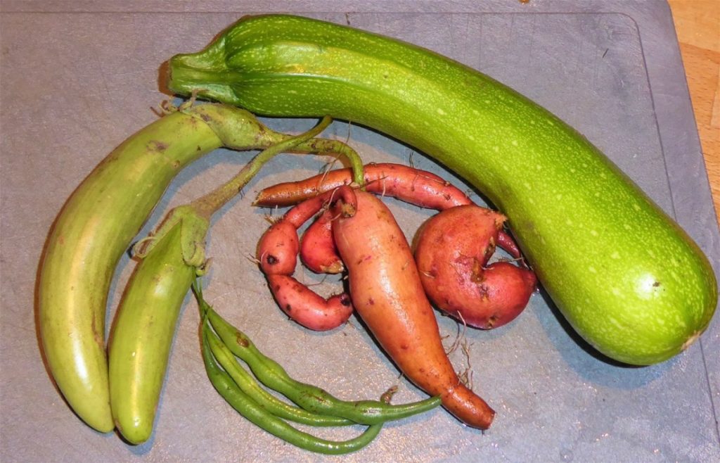 Selection of vegetables including sweet potatoes