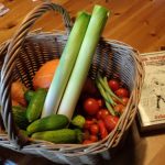 Basket of Harvested Vegetables
