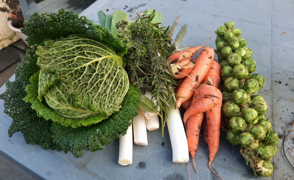 Selection of Vegetables