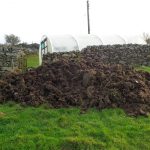 large pile of sheep manure