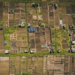 A New Approach to Allotments