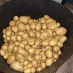 Anti-Rodent Potato Box, Hazel Trees, Savoys