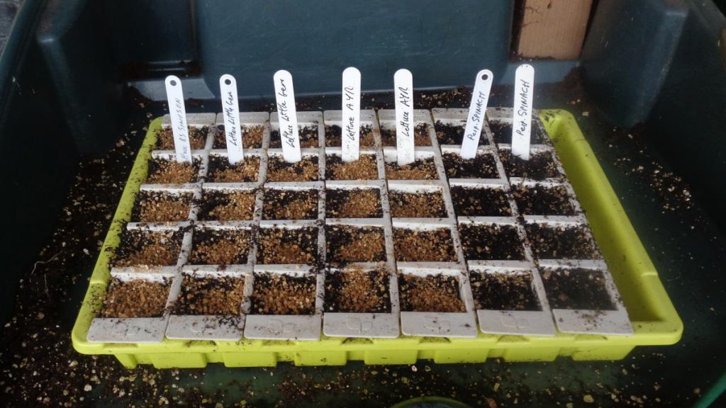 Bustaseed Tray with modules in use