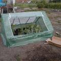 Tent Cloche Built and Filled with Plants