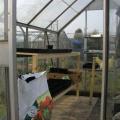 Greenhouse Staging